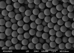 example of SEM observation of powders