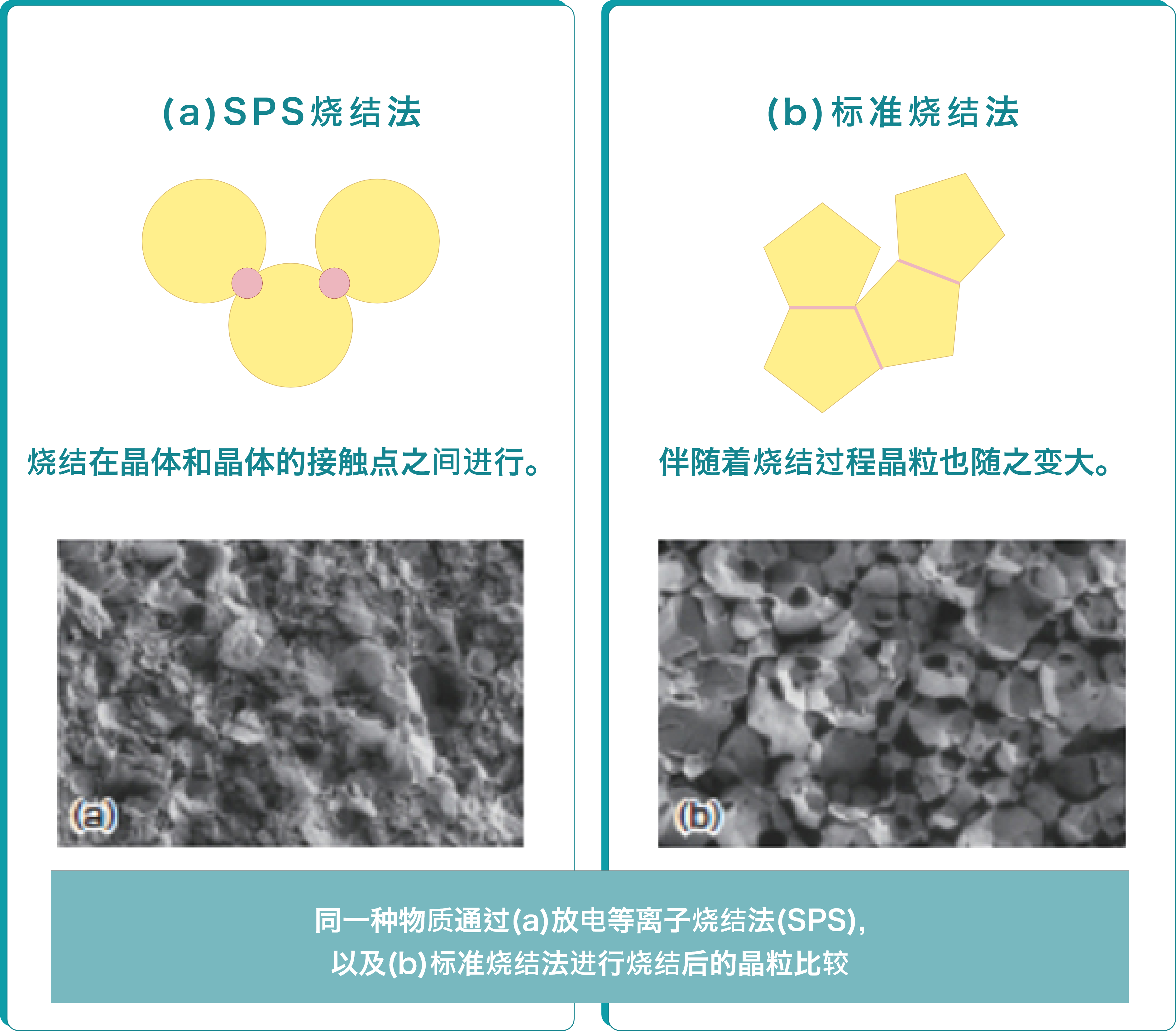 放电等离子烧结（SPS）